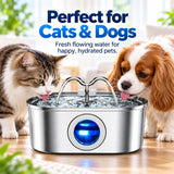 3.2L Stainless Steel Cat Water Fountain – Continuous Flow Pet Drinking Fountain with Water Level Window