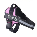 pet harness for dogs — close-up of materials