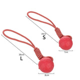HOOPET Dog Toy Rubber Ball Bite-resistant Ball — in-use context for dogs