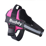 pet harness: extra gallery photo (CellosPets)