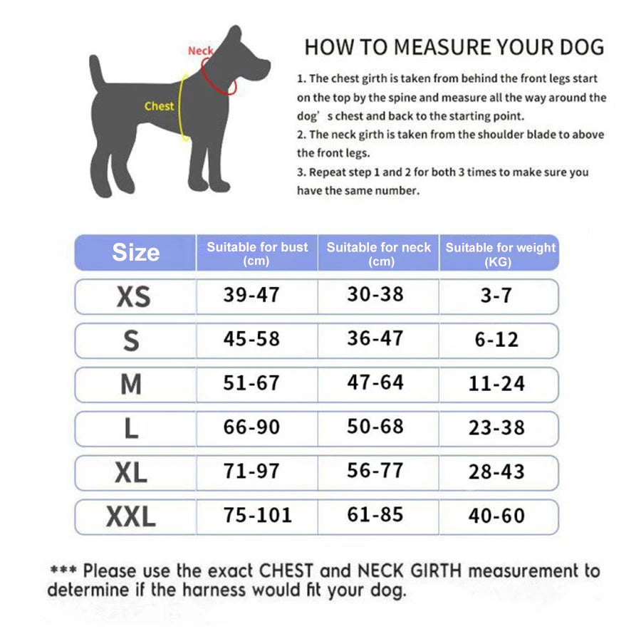 pet harness: additional product view (CellosPets)