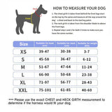 pet harness: additional product view (CellosPets)