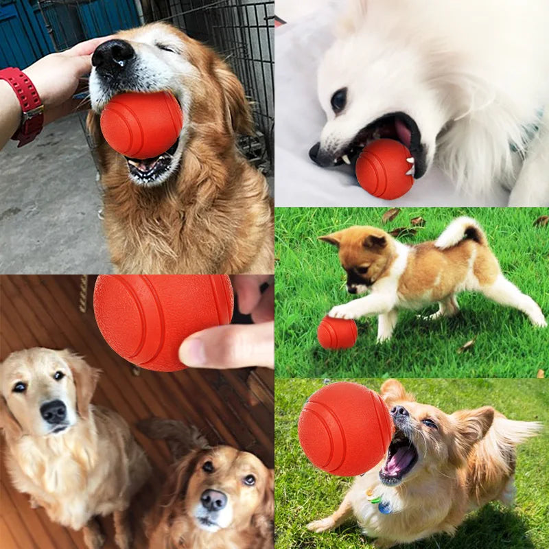 pet toy for dogs — close-up of materials