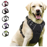 pet harness for dogs — main product photo
