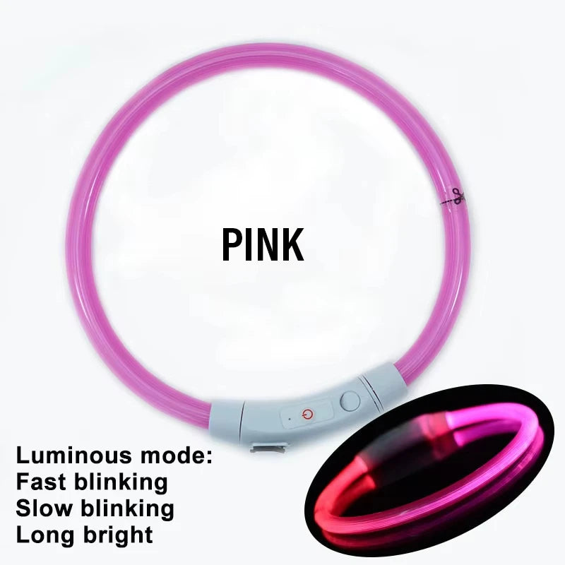 dog collar for dogs — packaging or accessories view