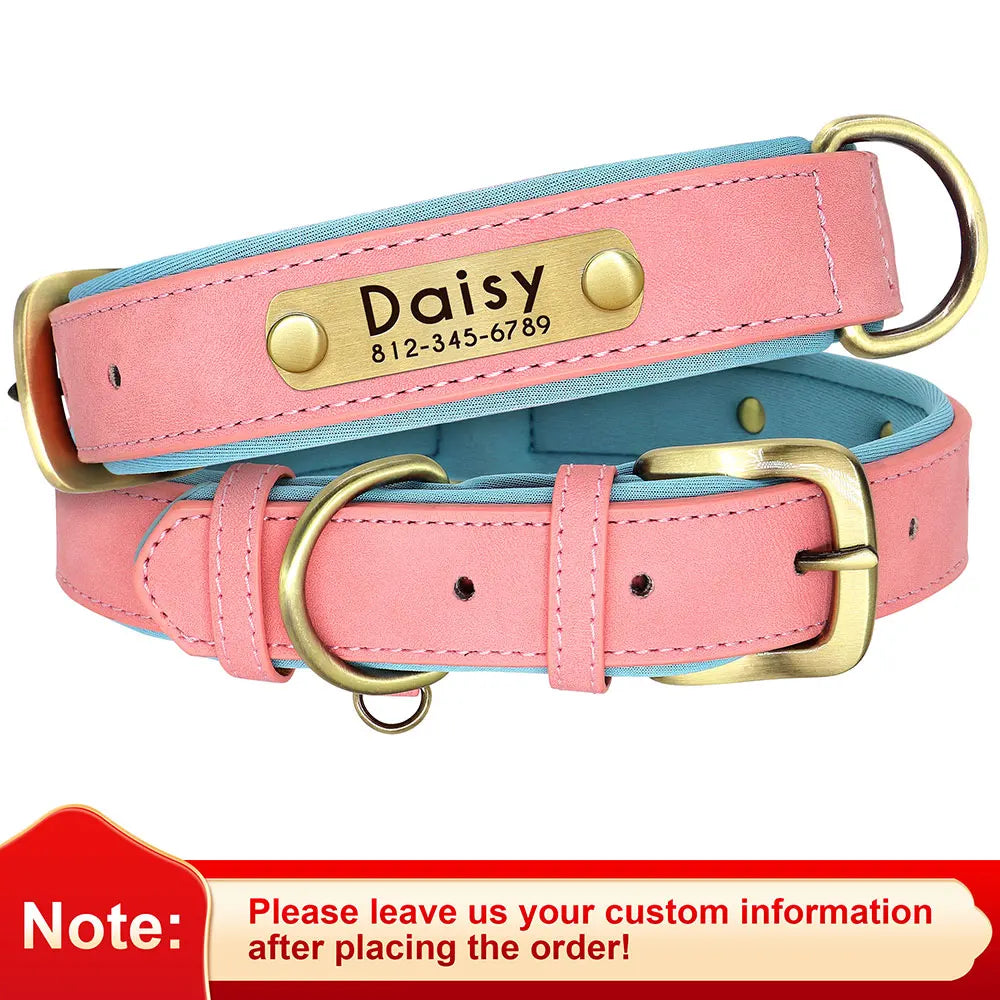 dog collar for dogs — main product photo