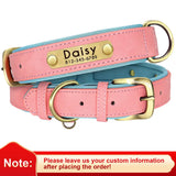 dog collar for dogs — main product photo
