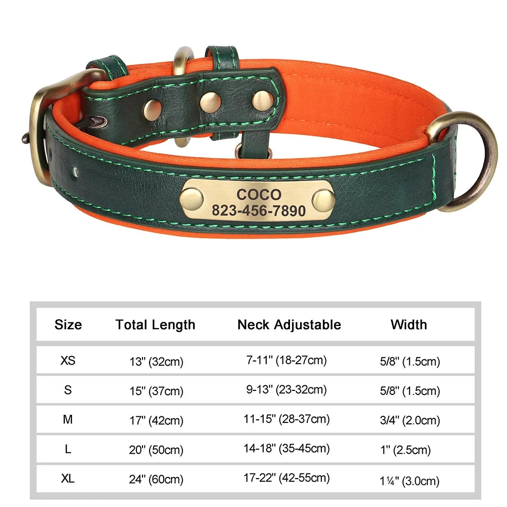 dog collar: feature highlight (CellosPets)