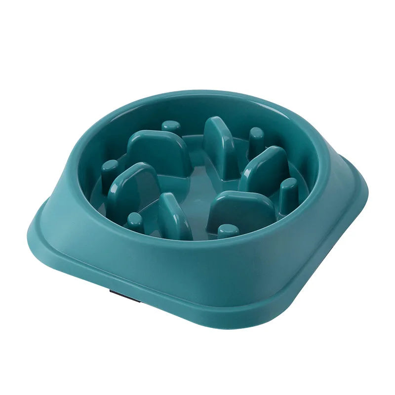 pet bowl for dogs and cats — main product photo