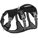 pet harness: feature highlight (CellosPets)