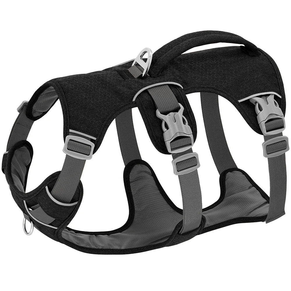 pet harness: feature highlight (CellosPets)