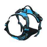 pet harness for dogs — full product shot