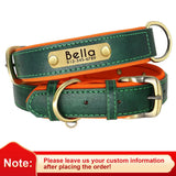 dog collar for dogs — full product shot