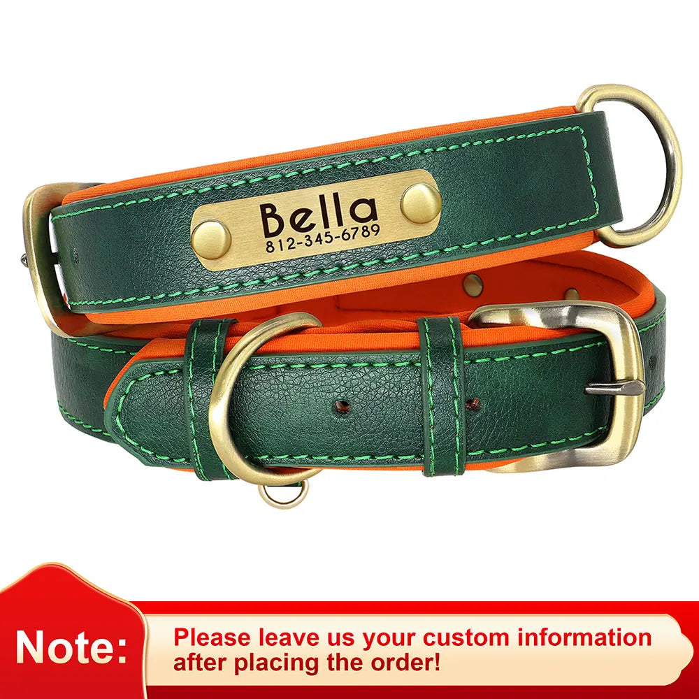 dog collar for dogs — full product shot
