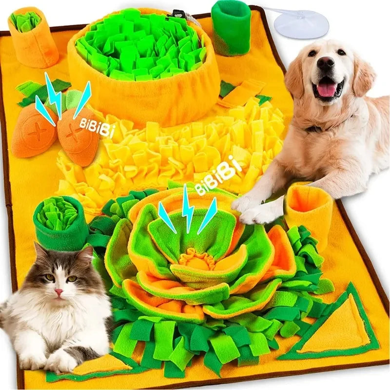 pet product for dogs — main product photo