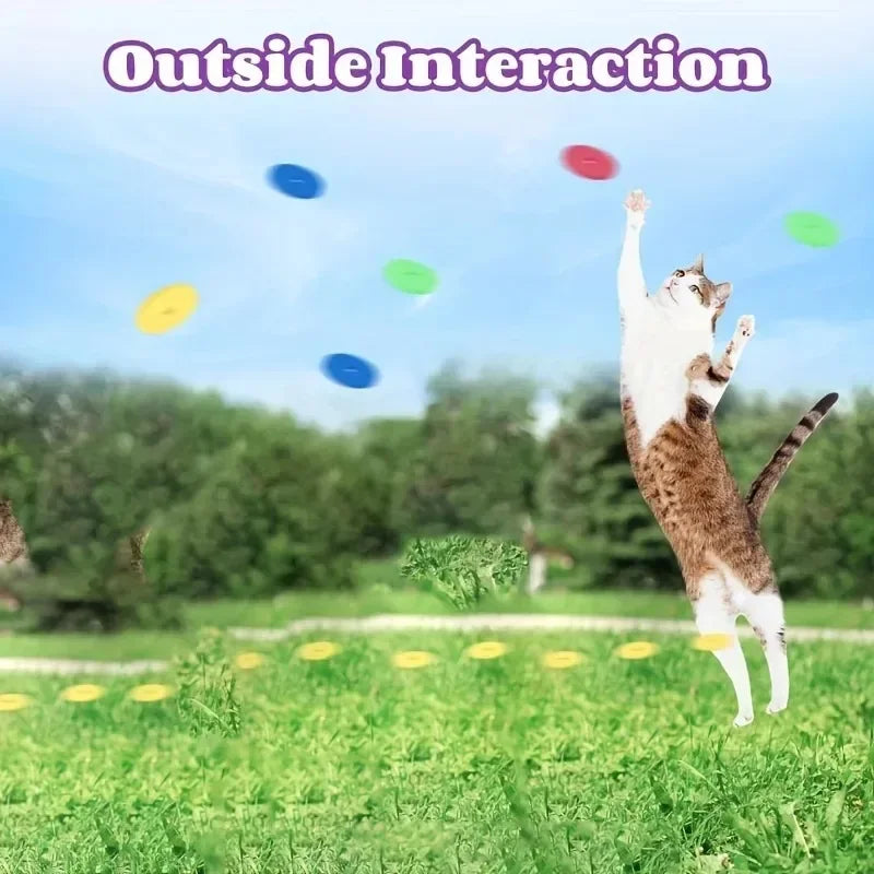 Funny Cat Toys Creative Turnip Gun With 15pcs — detail view for dogs and cats