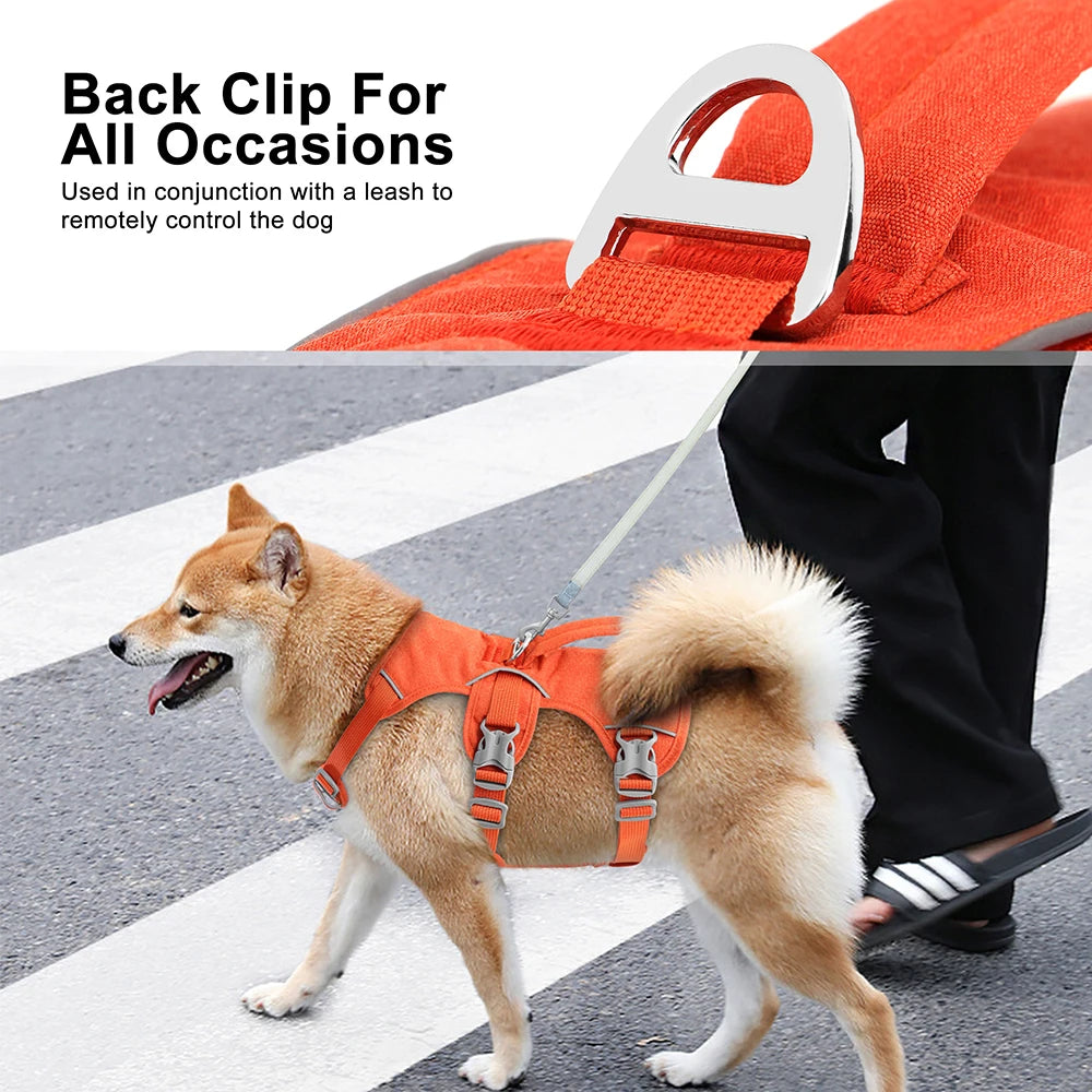 pet harness for dogs — close-up of materials