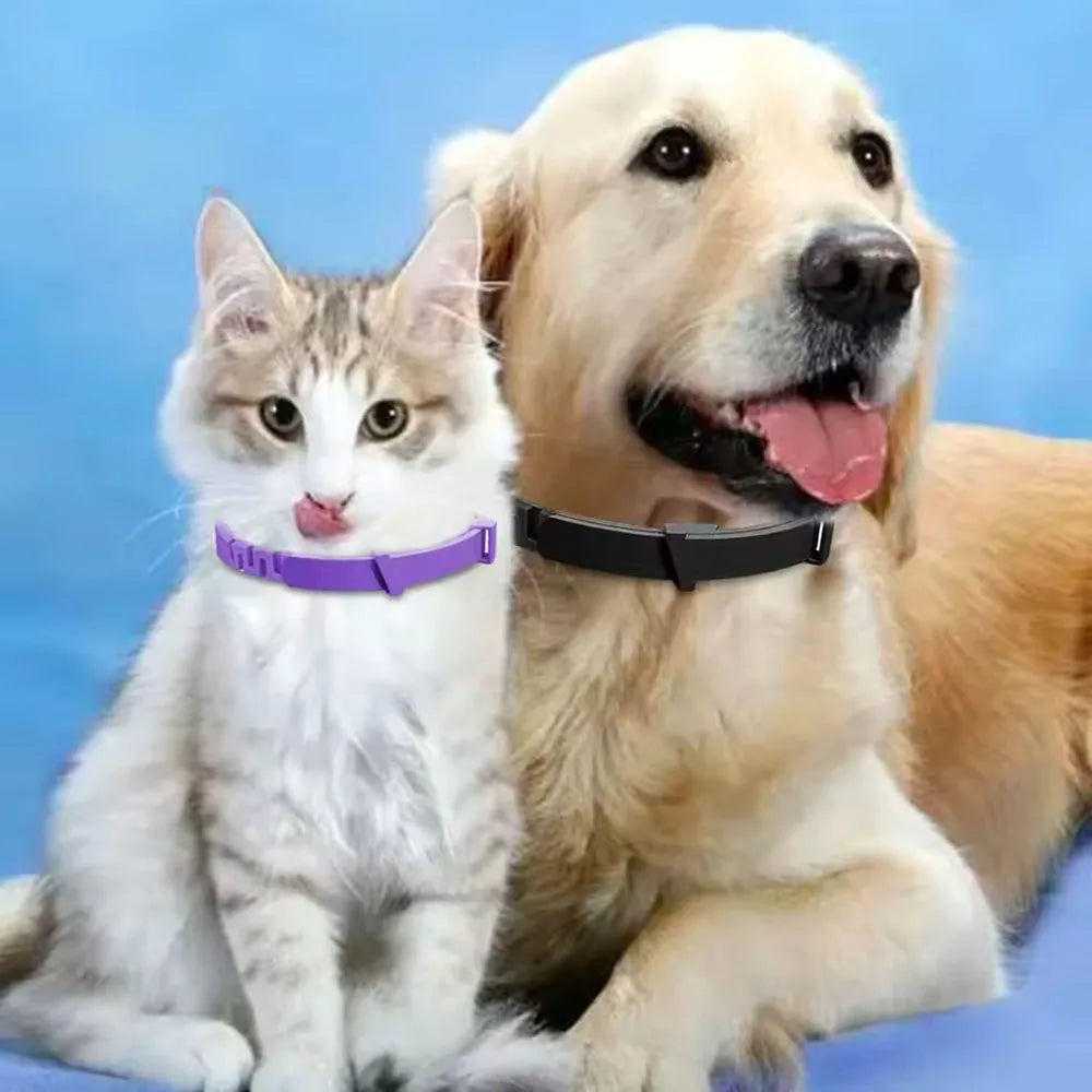 dog collar for dogs and cats — main product photo