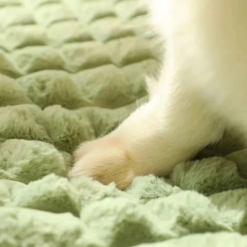 pet bed: side angle (CellosPets)