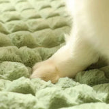 pet bed: side angle (CellosPets)