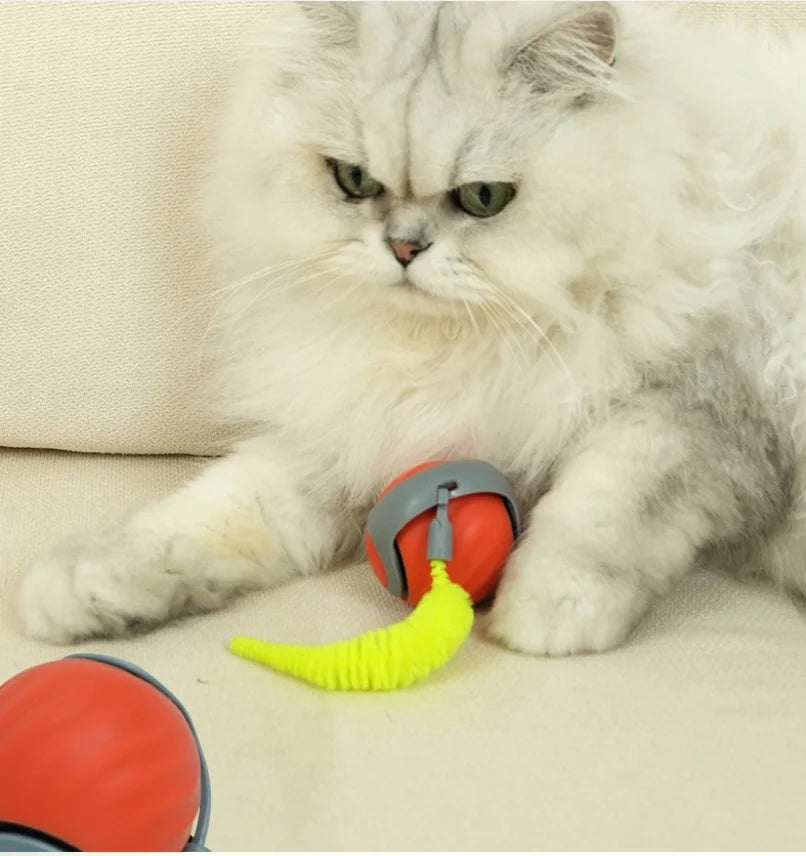 Buy Cat Scratcher Get Free Rolling Ball Toy 2 In 1 Interactive Puzzle Play Set Indoor Kitten Mental Exercise Enrichment Toy Fast Shipping From US Warehouse — imagem 3