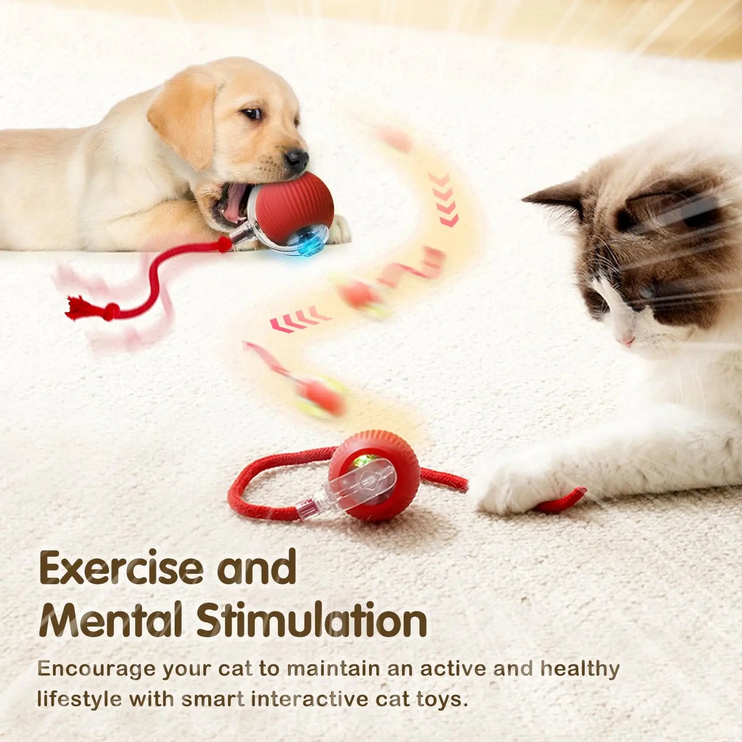 pet toy for cats — close-up of materials