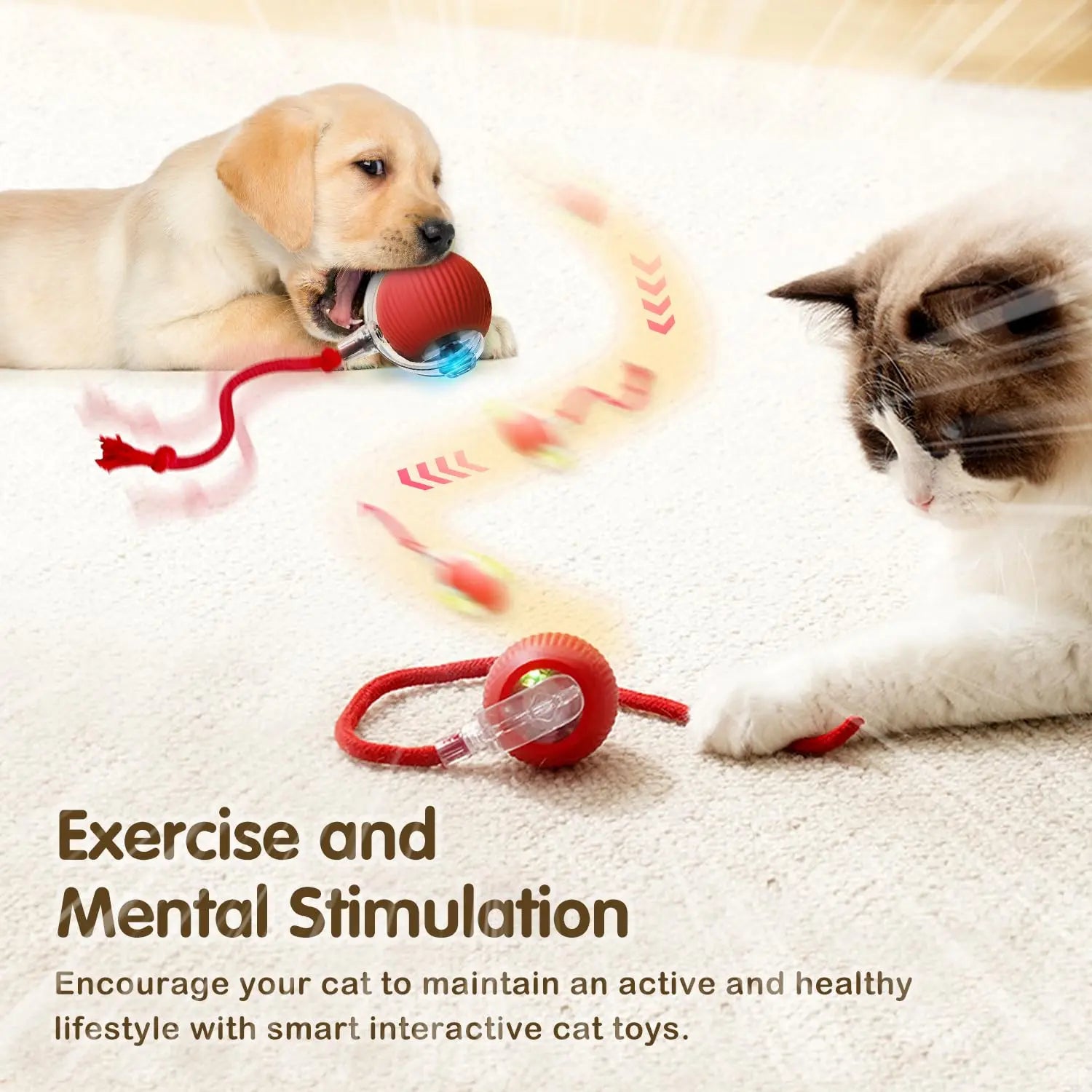 pet toy for cats — close-up of materials