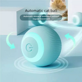 pet toy for cats — main product photo