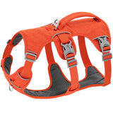 pet harness for dogs — packaging or accessories view