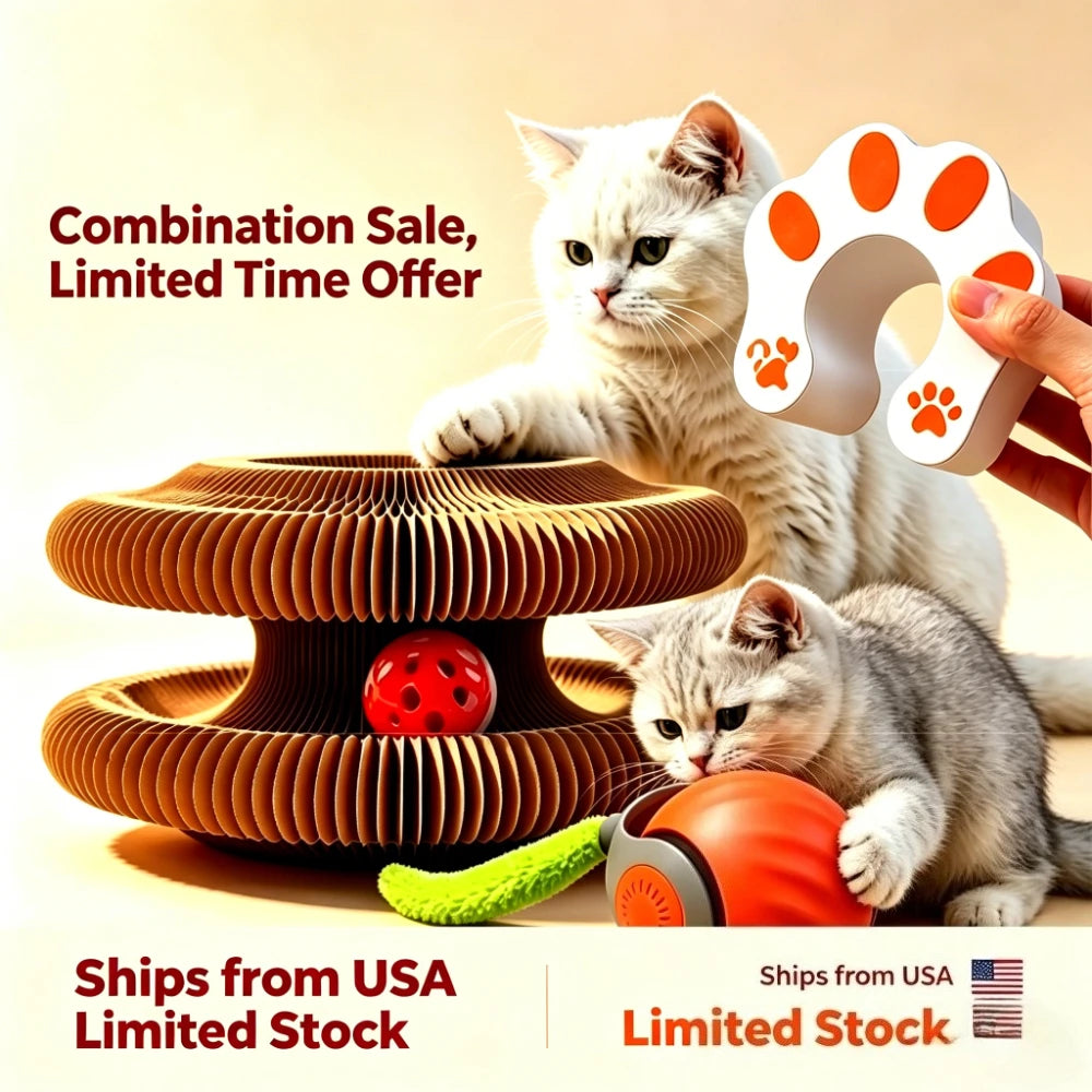 Buy Cat Scratcher Get Free Rolling Ball Toy 2 In 1 Interactive Puzzle Play Set Indoor Kitten Mental Exercise Enrichment Toy Fast Shipping From US Warehouse — imagem 1