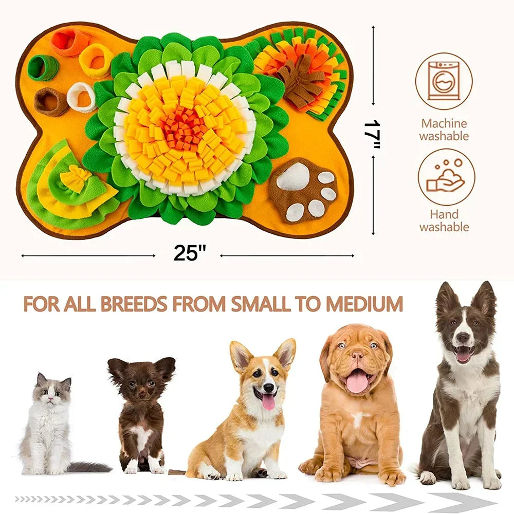 pet product for dogs — full product shot