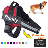 pet harness for dogs — main product photo