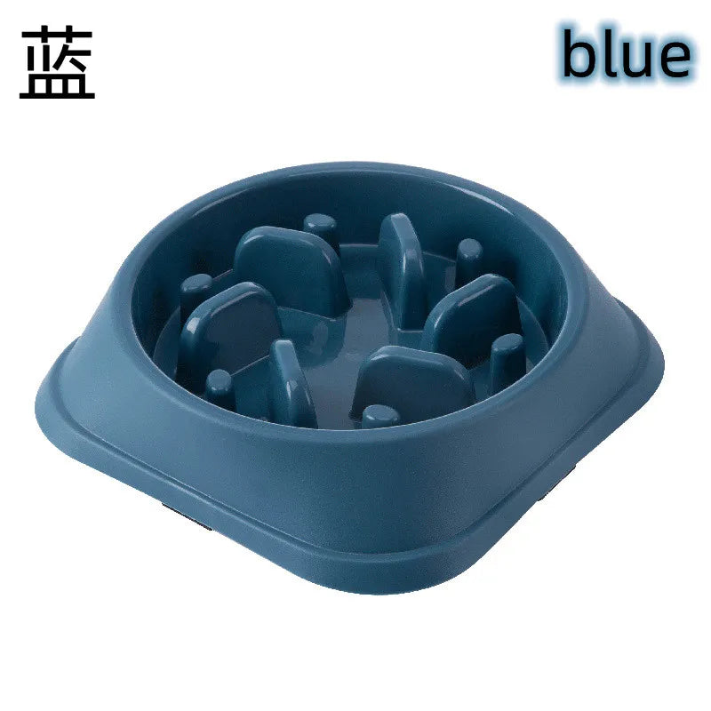 Pet Cat Dog Slow Food Bowl Fat Help Healthy — secondary detail for dogs and cats