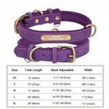 dog collar: extra gallery photo (CellosPets)