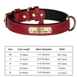 dog collar for dogs — packaging or accessories view
