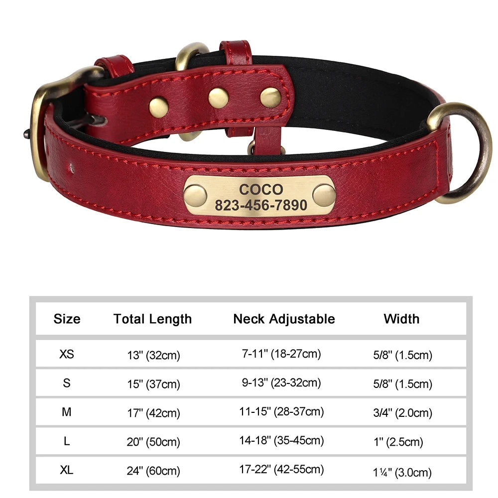 dog collar for dogs — packaging or accessories view