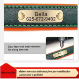 dog collar: additional product view (CellosPets)