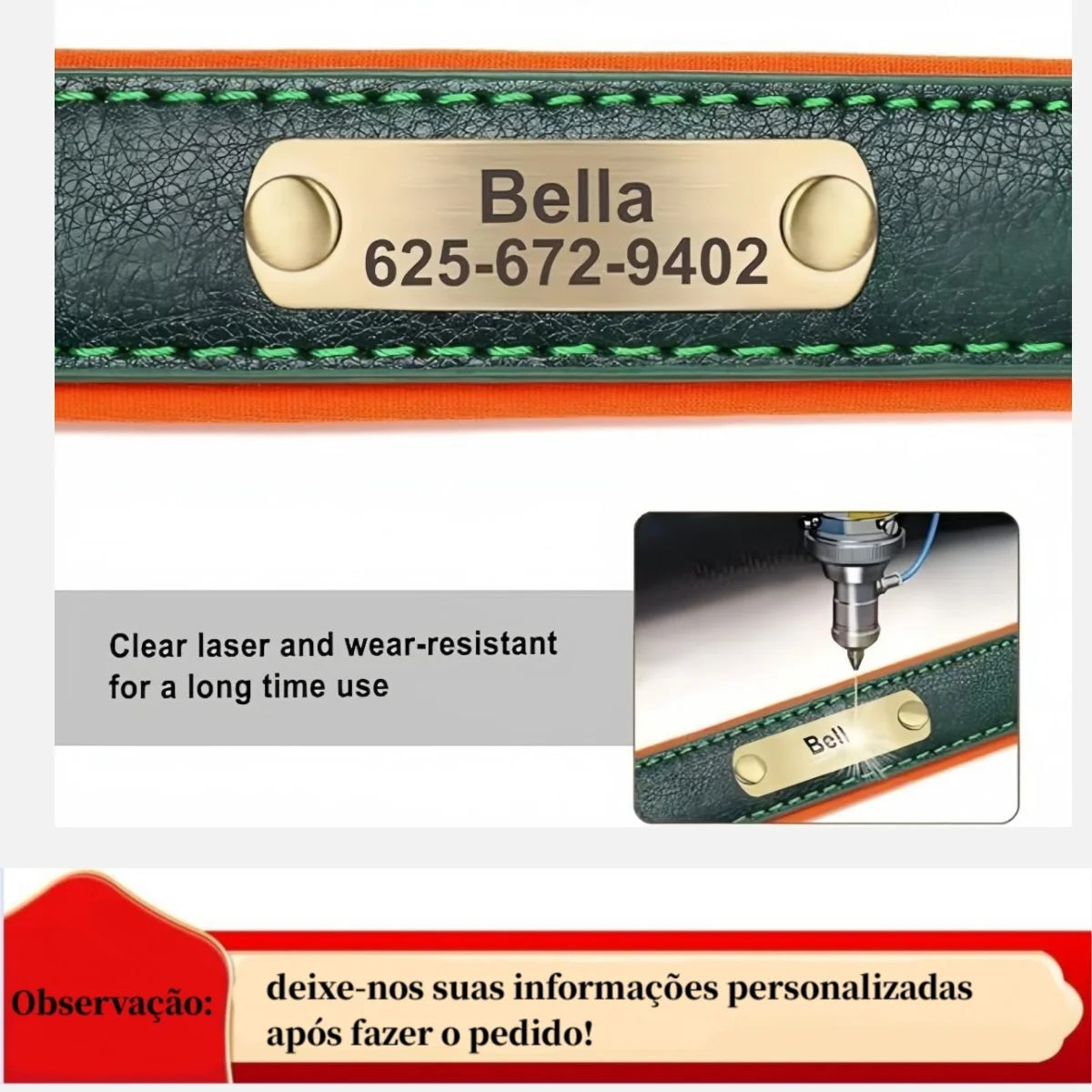 dog collar: additional product view (CellosPets)