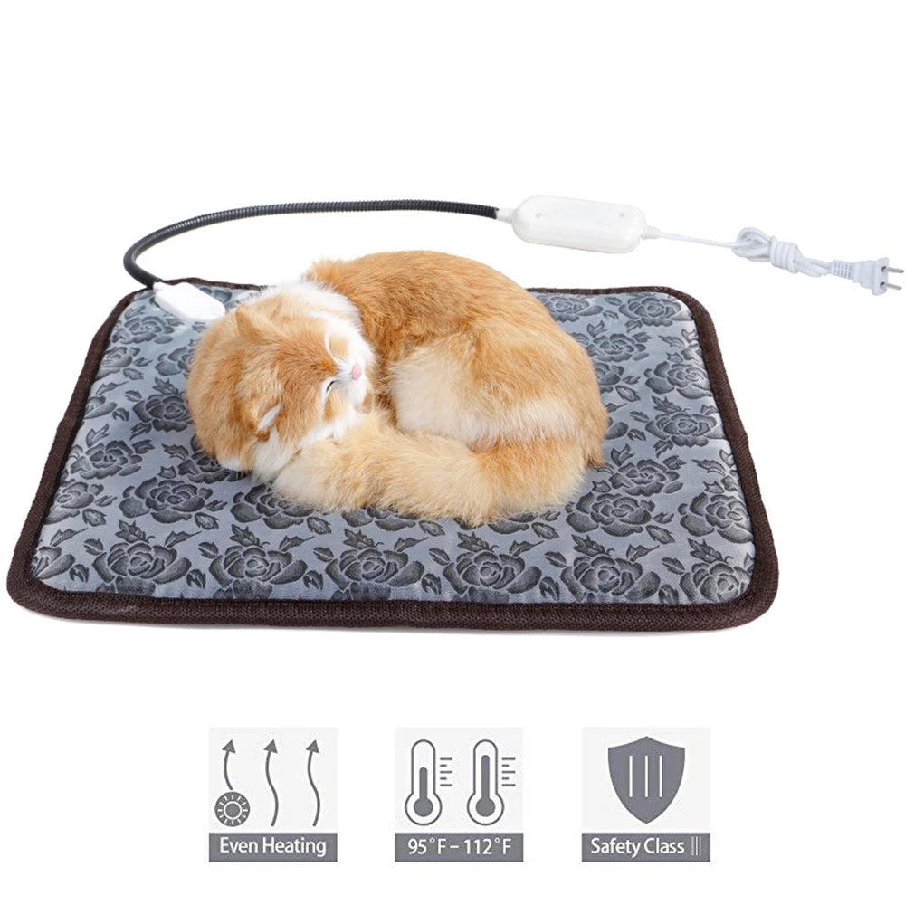 pet product for dogs and cats — main product photo
