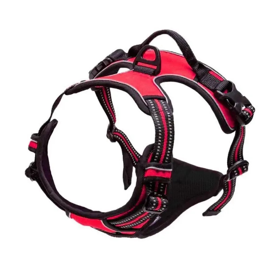 pet harness: feature highlight (CellosPets)