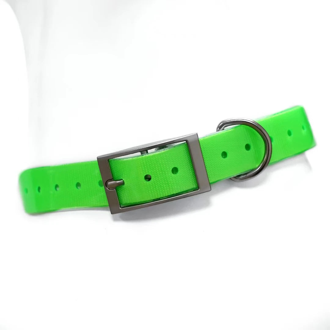 dog collar for dogs — main product photo