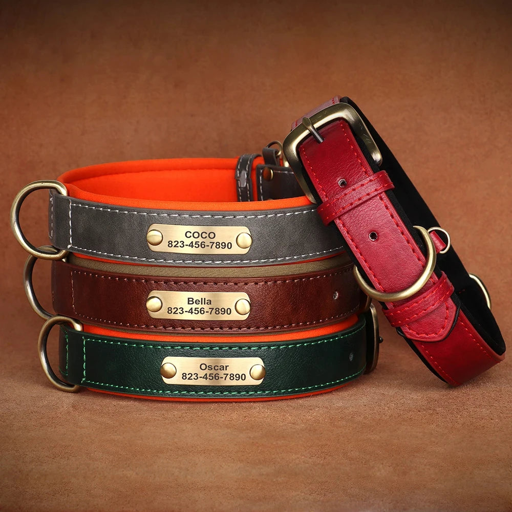 dog collar for dogs — main product photo