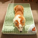 Machine Washable Dog Bed Removable Orthopedic — in-use context for dogs