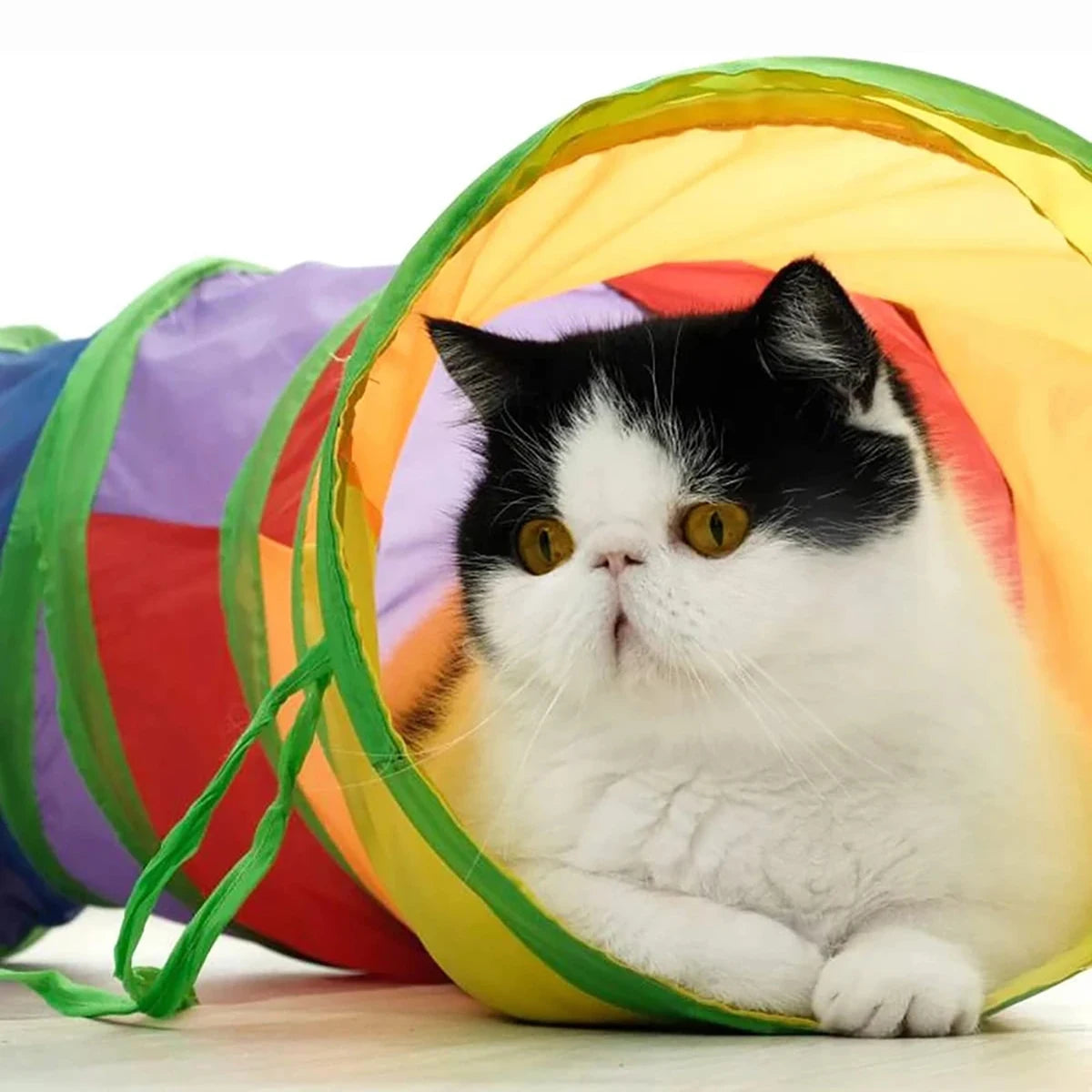 Cat Tunnel Tube Foldable Cat Toys Kitty Training Interactive Fun Toy Tunnel Bored for Puppy Kitten Pet Supplies Cat Accessories — imagem 3
