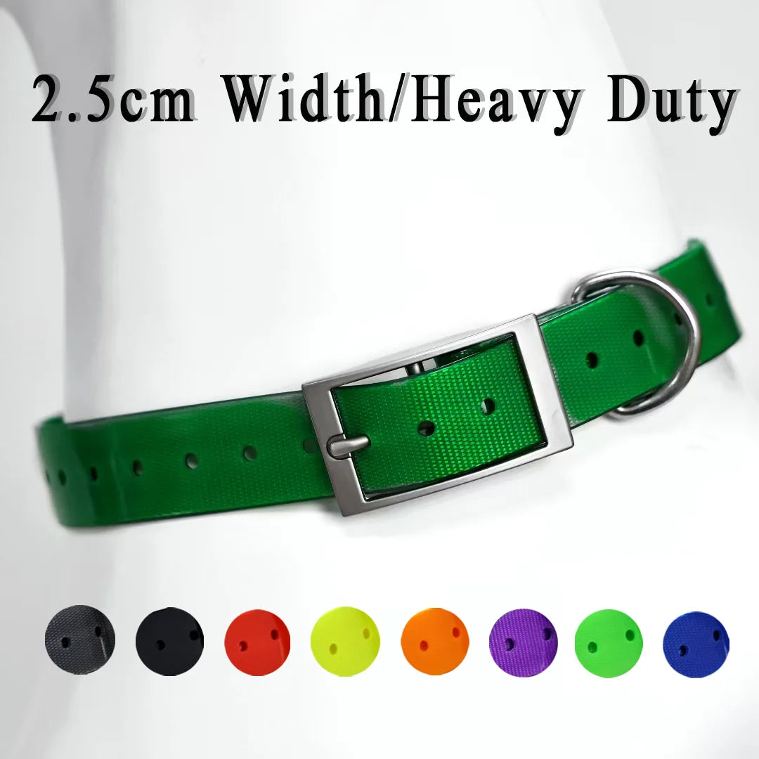 dog collar for dogs — main product photo