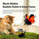 Interactive Butterfly Cat Toy – Rechargeable Fluttering Wings, 3-Pack