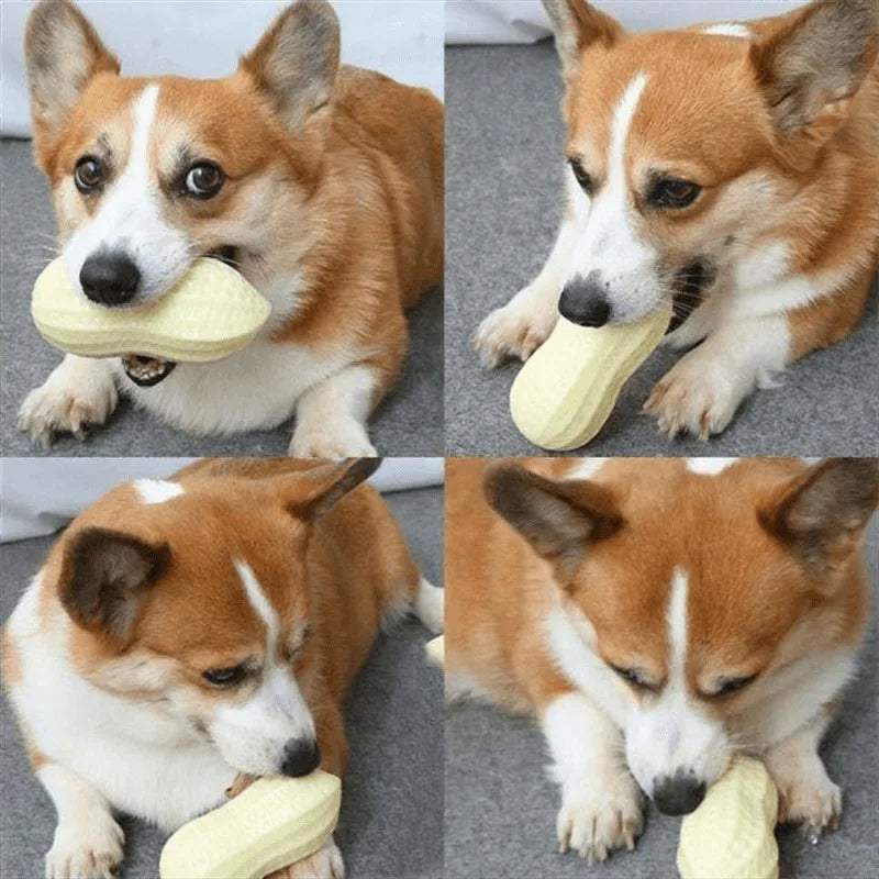 pet toy: side angle (CellosPets)