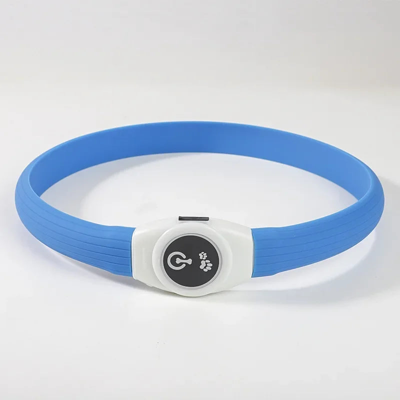 dog collar for dogs — packaging or accessories view