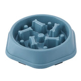 pet bowl for dogs and cats — close-up of materials