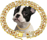 dog collar for dogs — packaging or accessories view